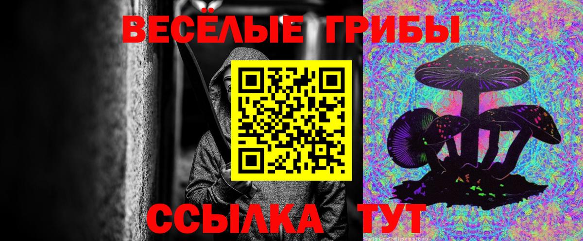 Псилоцибиновые грибы мухоморы  Вход с VPN  Щёлково 